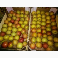 Яблоки Фуджи, сорт 1, калибр 75-80+. от 10 тонн. в картонном лотке 60х40, вес 13-15кг