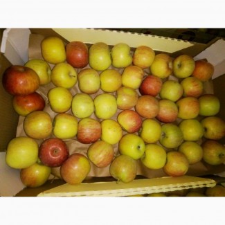 Яблоки Фуджи, сорт 1, калибр 65-70 от 10 тонн в картонном лотке 60х40, вес 13-15кг мытые