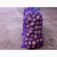 Фермерский картофель от 30 кг в Воронеже