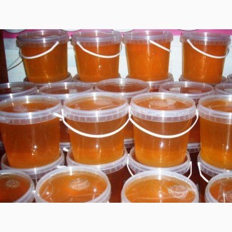 Мед от алтайских производителей