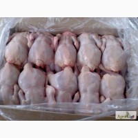 Мясо птицы производства Казахстан