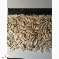 Продаем семечки подсолнечника в скорлупе белые полосатые
