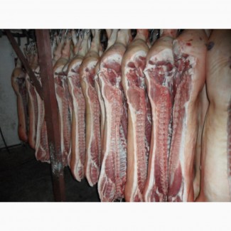 Свинина полутуши 1, 2 и 4 категории в п/т от производителя ГОСТ