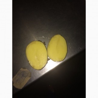Картофель гала оптом от производителя
