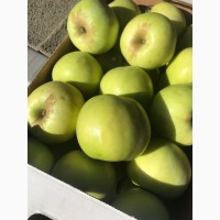 Яблоки с собственных садов. Производитель