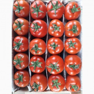 Продаем томаты/помидоры в большем объеме