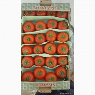 Предлагаем к приобретению высококачественные помидоры сорта Ламия