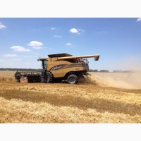 Уборка урожая Зерновых, Зернобобовых 2020г