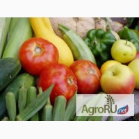 Плодо-овощная консервация, замороженные фрукты и ягоды, фрукты напрямую из Сербии оптом