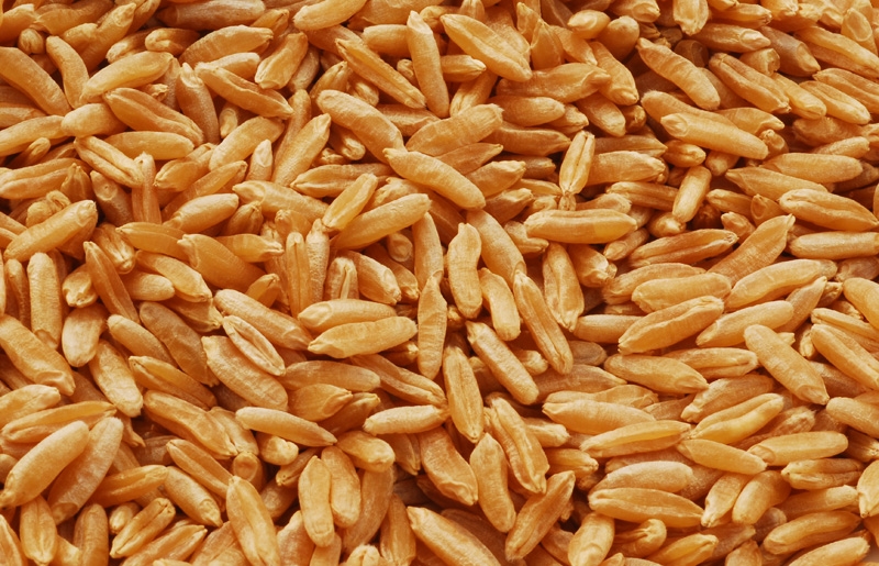 Фото 3. Фуражное зерно с доставкой по Владимирской области: ячмень, пшеница, овес, кукуруза, шрот