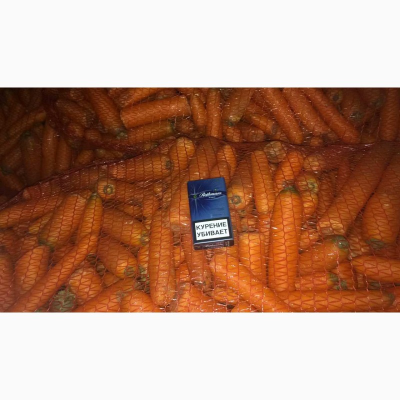Фото 2. Морковь оптом 2 сорт, некондиция от 20 тонн