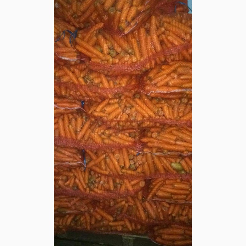 Фото 3. Морковь оптом 2 сорт, некондиция от 20 тонн