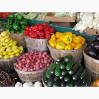 ООО Бона Фрут оптовая продажа овощей и фруктов