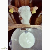 Заменитель цельного молока для телят с 4-го дня жизни