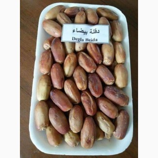 Продам финики из Алжира, сорта: Деглет Нур, Мэш Дегла, Дегла Байда