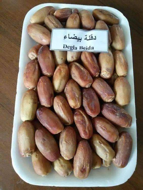 Продам финики из Алжира, сорта: Деглет Нур, Мэш Дегла, Дегла Байда