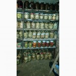Продам грибы грузди маринованные