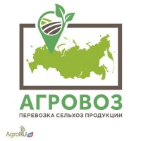 Перевозка зерна по России