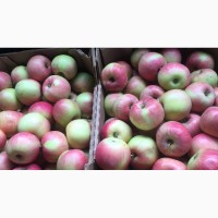 Продам яблоки, 1-2 сорт, айдаред, интерпрайз, гала, чемпион и др. (Производитель)