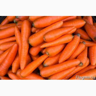 ПОКУПАЕМ мытую морковь