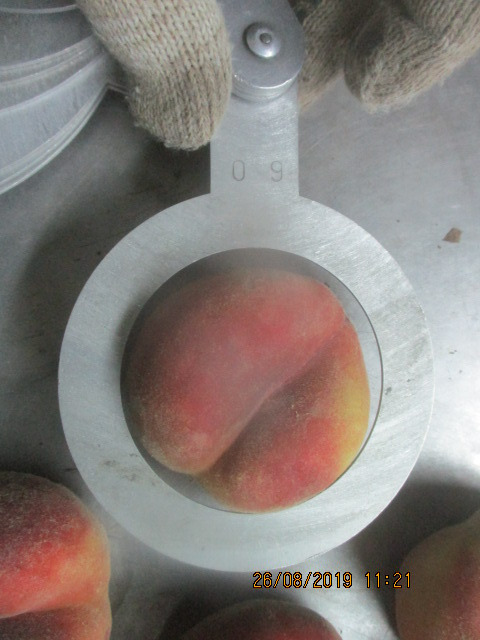 Фото 2. Персики плоские