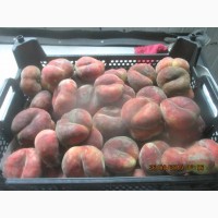 Персики плоские