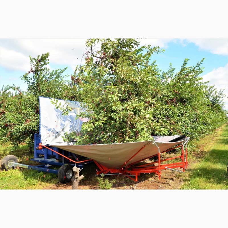 Фото 5. Комбайн для сбора вишни, слив и других косточковых фруктов Jagoda Gacek