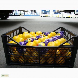 Апельсины, Лимоны Аргентина оптом