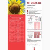 Купить подсолнечник ЛГ 5400 ХО по низкой цене