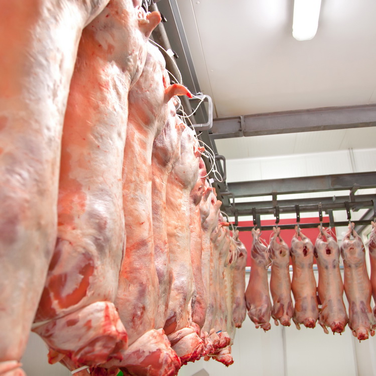 Фото 3. Производство и оптовые продажи мяса в ассортименте