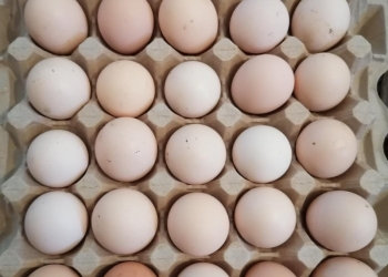 Фермерское хозяйство реализует свежее, диетическое куриное яйцо