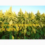 Амарантовая травяная мука (гранулированная) ГОСТ 18691-88