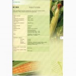 Продам посевной материал подсолнечника и кукурузы