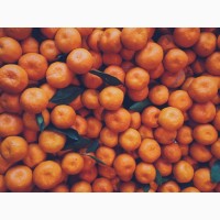 Абхазские мандарины оптом