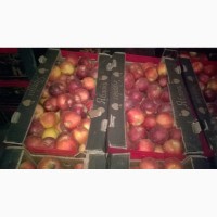 Продам оптом яблоки Калибр от 65