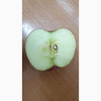 Яблоки оптом