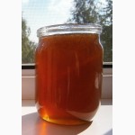 Алтайский Мёд разнотравье натуральный вкусный урожай 2016 г
