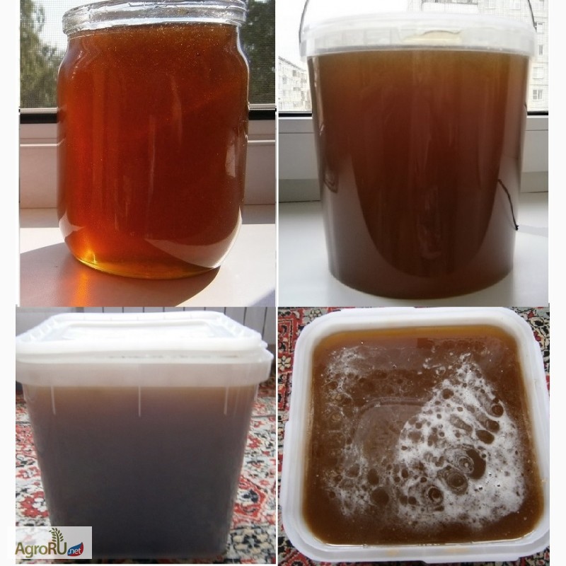 Фото 3. Алтайский Мёд разнотравье натуральный вкусный урожай 2016 г