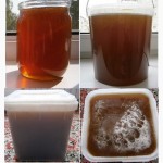 Алтайский Мёд разнотравье натуральный вкусный урожай 2016 г
