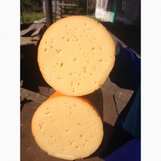 Продам: сыр Золотое Кольцо 383 р/кг