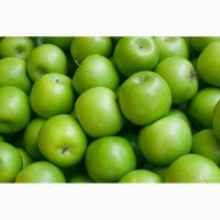 К оптовой продаже готовы яблоки сорта Муцу с доставкой по России