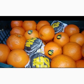 Иранские Апельсины