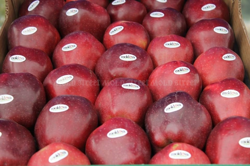 Фото 3. Купим яблоки в г. Брянске РФ