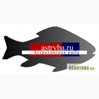 Астраханская рыба, рыбная продукция оптом. Доставка по России