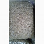 Кедровый орех очищенный, Алтай, 750 руб./кг