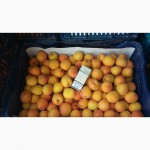 Продам персик, нектарин, абрикос Урожай 2016 Македония полный пакет документов для экспорта