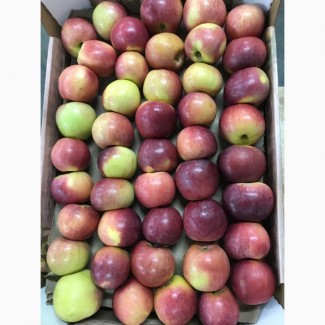 Яблоки. Урожай 2018 года