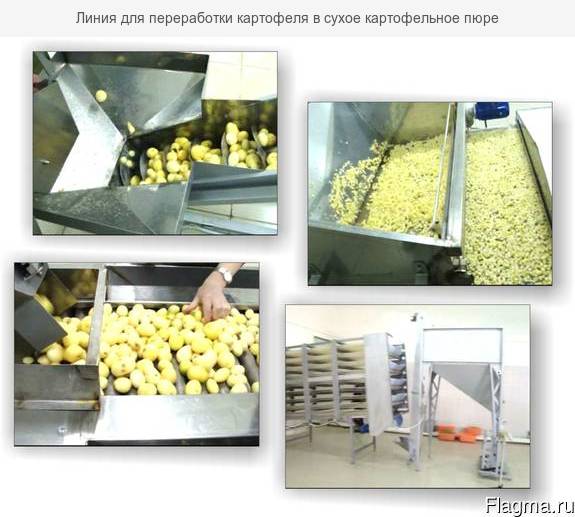 Фото 18. Оборудование для переработки овощей и фруктов