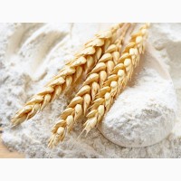 Пшеничная Мука 1 и 2 сорта ГОСТ