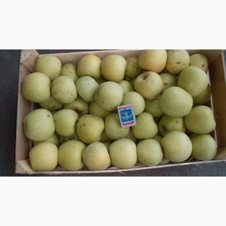 Продам яблоки оптом от производителя, Крым